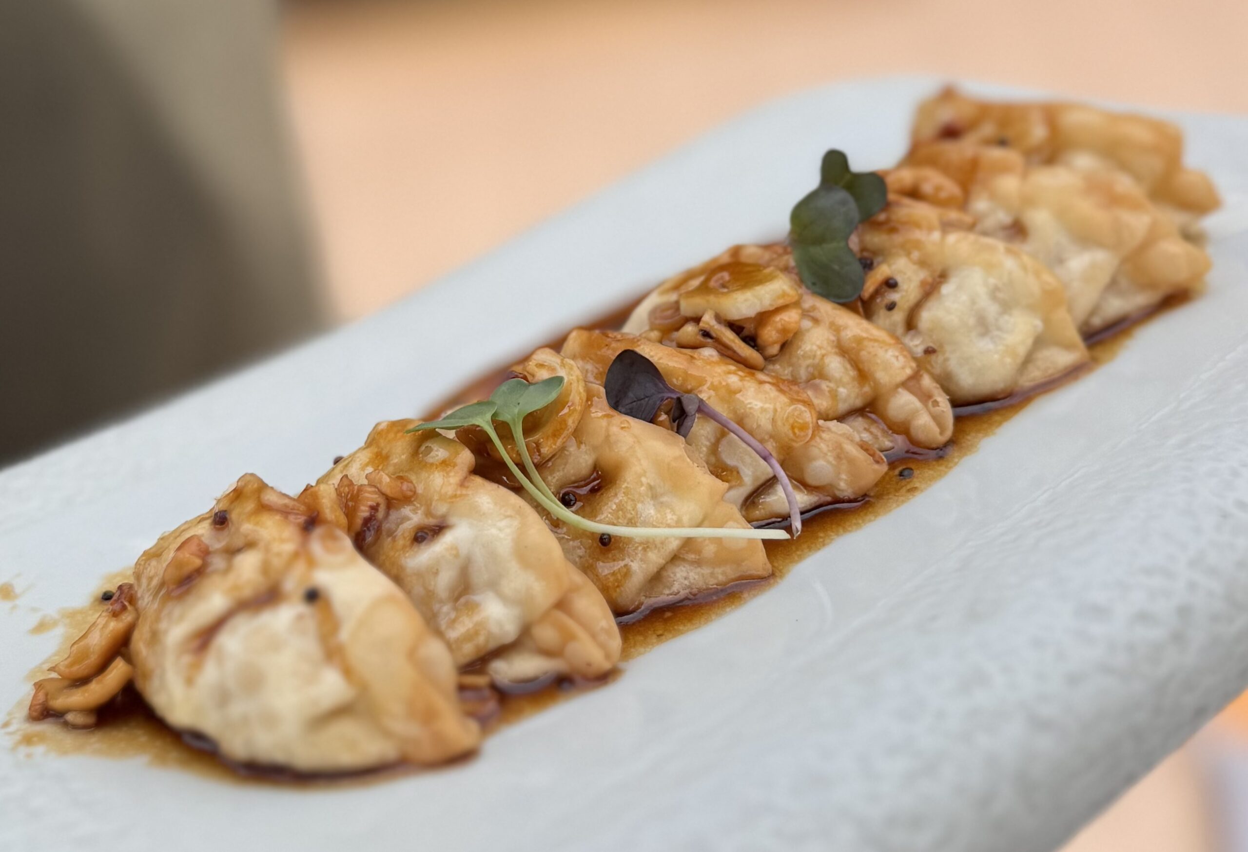 Gyozas de Gamba - Bocana de Palos